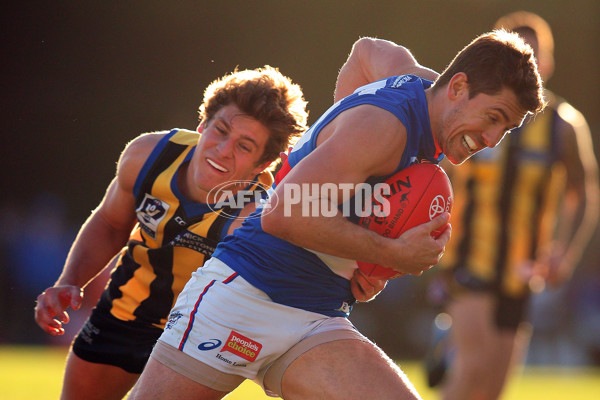 VFL 2017 Round 12 - Sandringham v Footscray - 529803