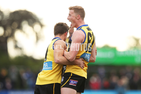 VFL 2017 Round 12 - Sandringham v Footscray - 529777