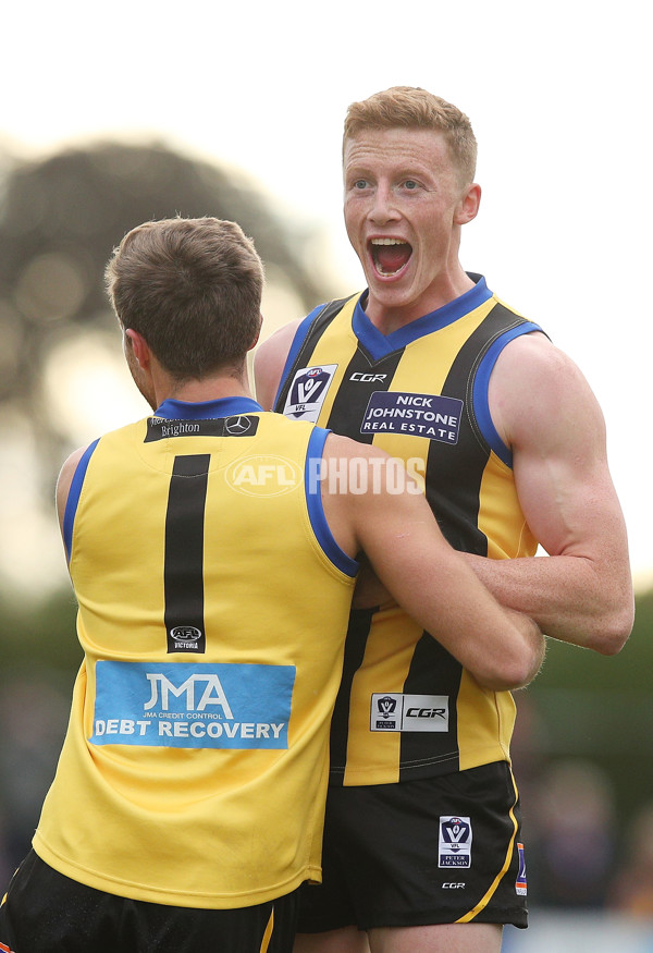 VFL 2017 Round 12 - Sandringham v Footscray - 529776