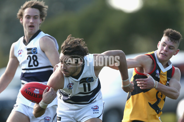 TAC Cup 2017 Round 12 - Dandenong v Northern Knights - 530503