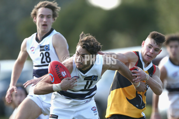 TAC Cup 2017 Round 12 - Dandenong v Northern Knights - 530502
