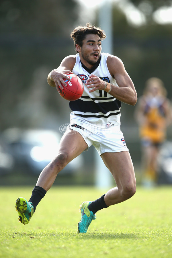TAC Cup 2017 Round 12 - Dandenong v Northern Knights - 531051
