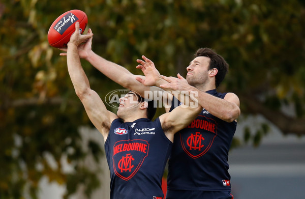 AFL 2017 Training - Melbourne 180717 - 532293