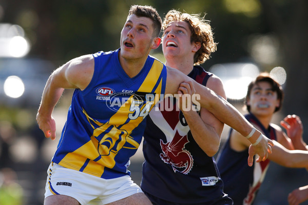 TAC Cup 2017 Round 14 - Sandringham v Western Jets - 535105