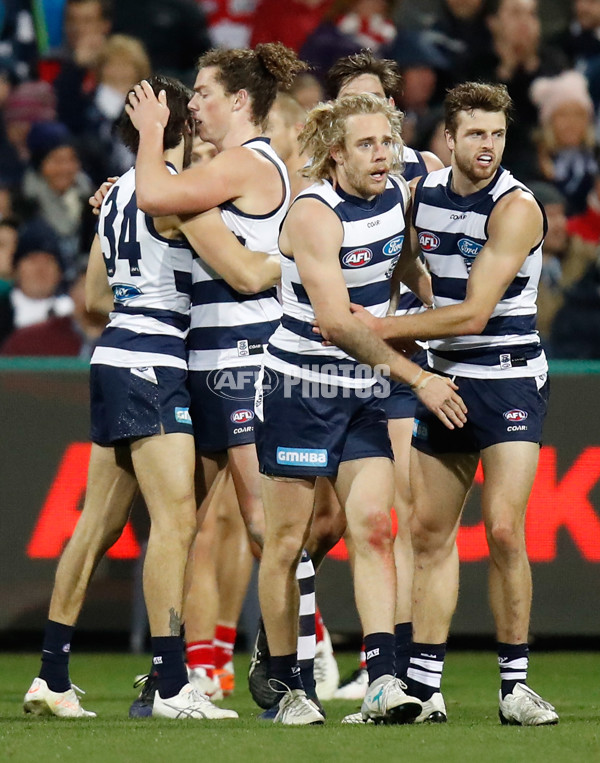 AFL 2017 Round 20 - Geelong v Sydney - 537152