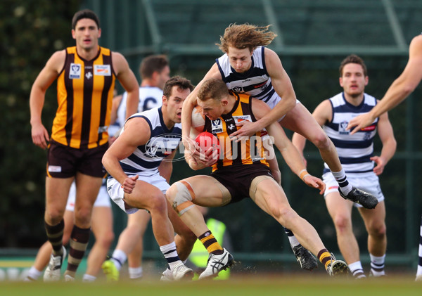 VFL 2017 Round 16 - Box Hill v Geelong - 537322