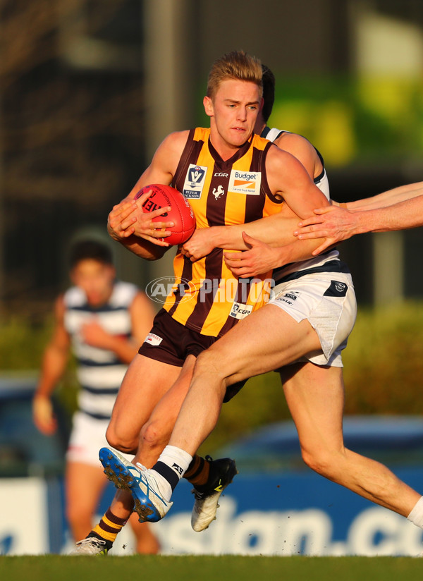 VFL 2017 Round 16 - Box Hill v Geelong - 538188