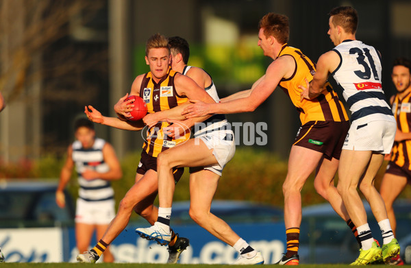 VFL 2017 Round 16 - Box Hill v Geelong - 538187