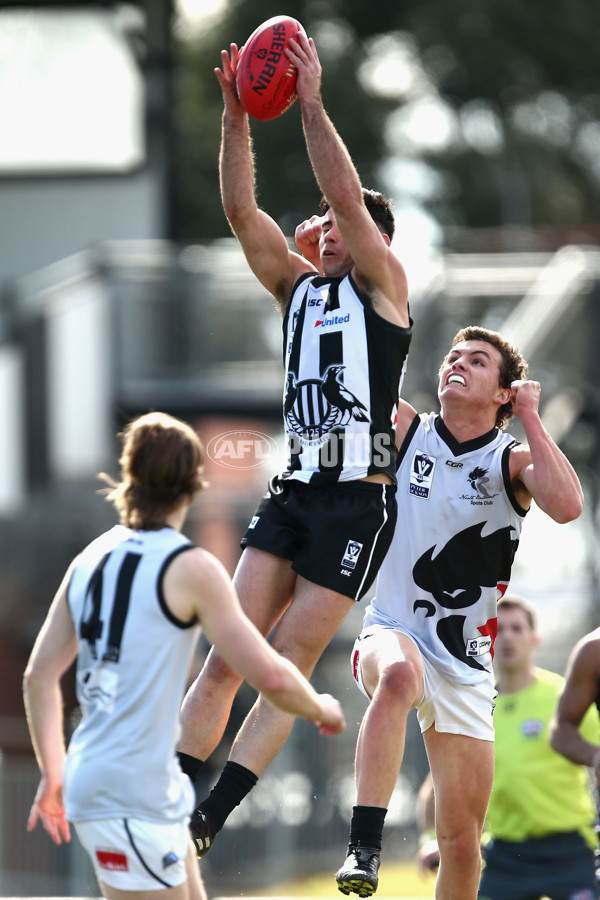VFL 2017 Round 17 - Collingwood v North Ballarat - 540904
