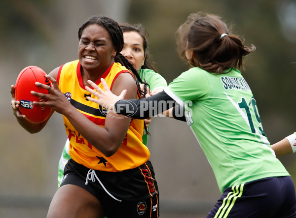 AFL 2017 Media - International Cup Round 4 - 542038