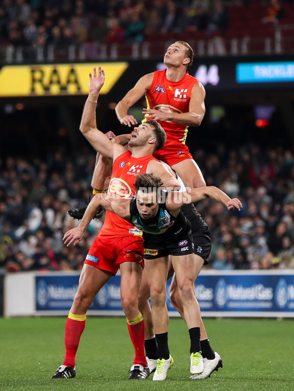 AFL 2017 Round 23 - Port Adelaide v Gold Coast - 545366