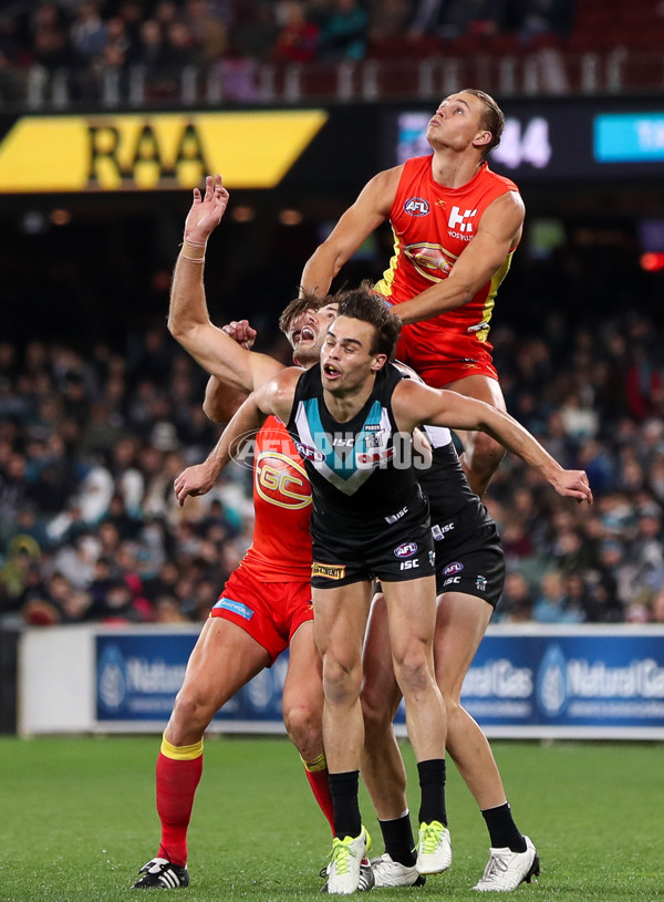 AFL 2017 Round 23 - Port Adelaide v Gold Coast - 545365