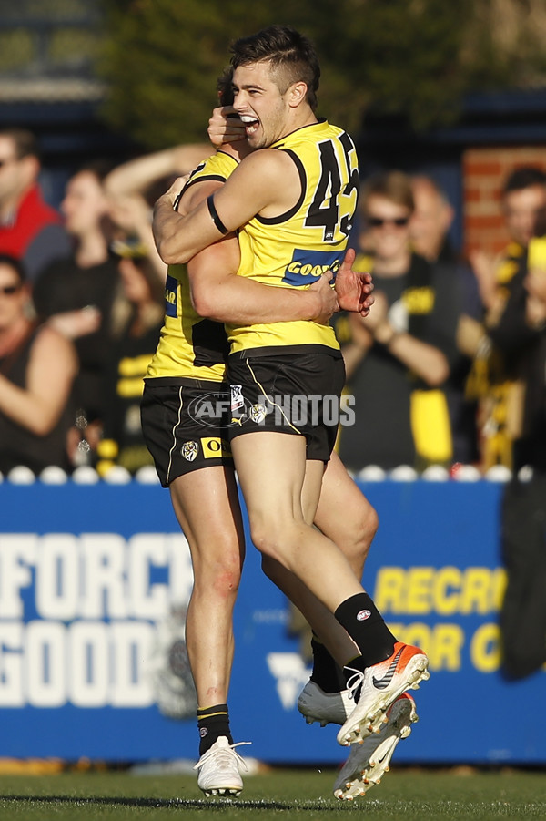 VFL 2019 1st Preliminary Final - Richmond v Port Melbourne - 714892