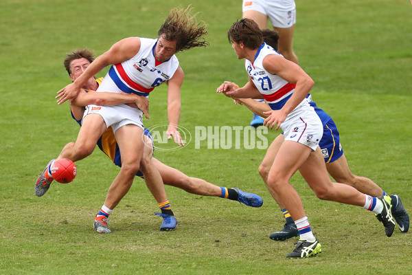 VFL 2019 Round 04 - Williamstown v Footscray - 669385