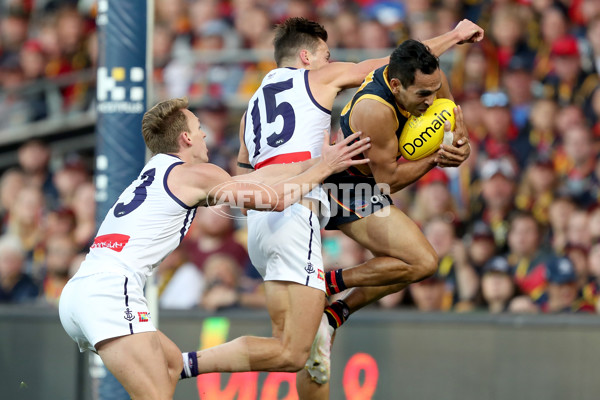 AFL 2019 Round 07 - Adelaide v Fremantle - 671503