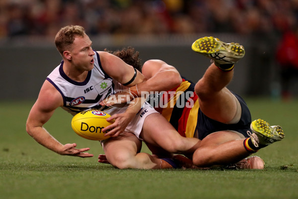 AFL 2019 Round 07 - Adelaide v Fremantle - 671607