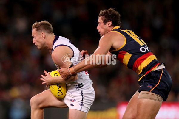 AFL 2019 Round 07 - Adelaide v Fremantle - 671606