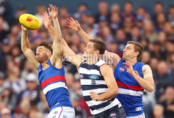 AFL 2019 Round 09 - Geelong v Western Bulldogs - 675148