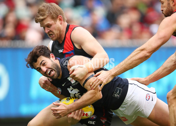 AFL 2019 Round 11 - Essendon v Carlton - 681615