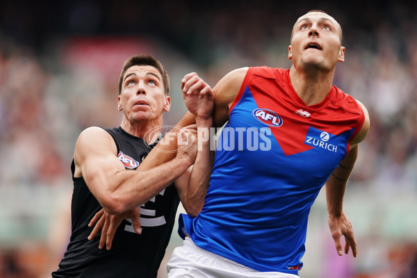 AFL 2019 Round 16 - Carlton v Melbourne - 692142