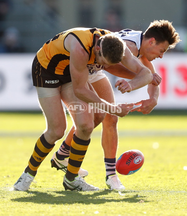 AFL 2019 Round 17 - Hawthorn v Fremantle - 694014