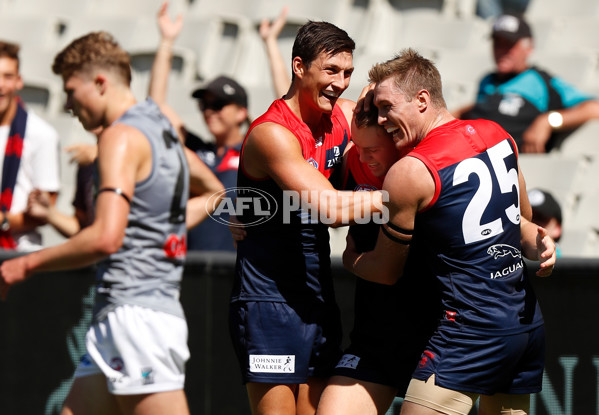 AFL 2019 Round 01 - Melbourne v Port Adelaide - 655457