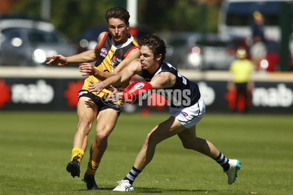 NAB League Boys Rd 3 - Dandenong Stingrays v Geelong Falcons - 661832