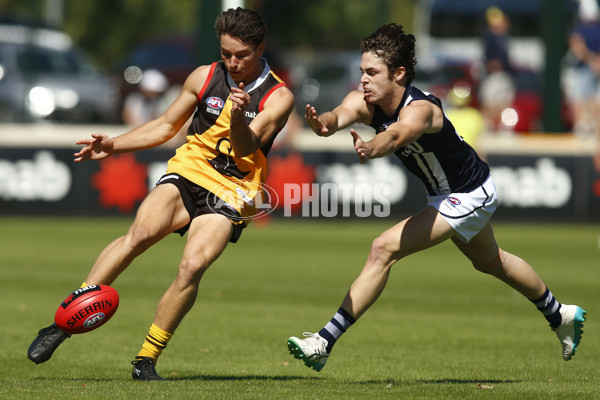 NAB League Boys Rd 3 - Dandenong Stingrays v Geelong Falcons - 661831
