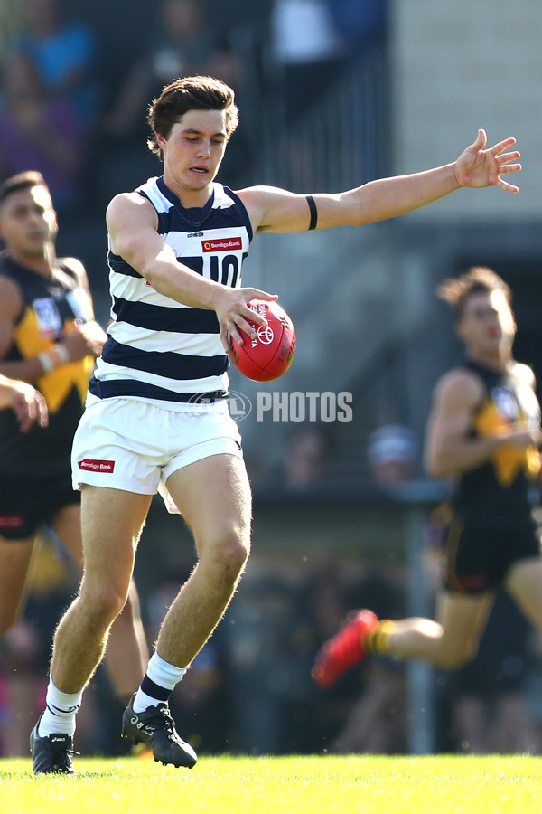 VFL 2019 Round 03 - Werribee v Geelong - 665817