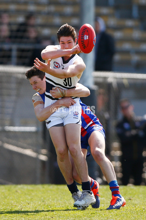 TAC CUP 2017 Final - Oakleigh Chargers v Northern Knights - 548893