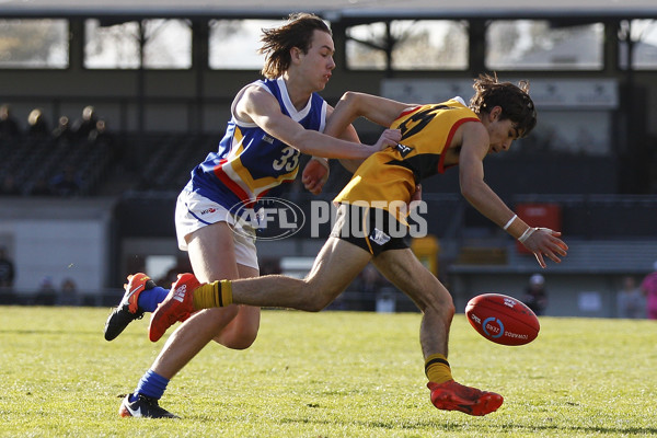 VFL 2017 Semi Final - Dandenong Stingrays v Eastern Ranges - 550440