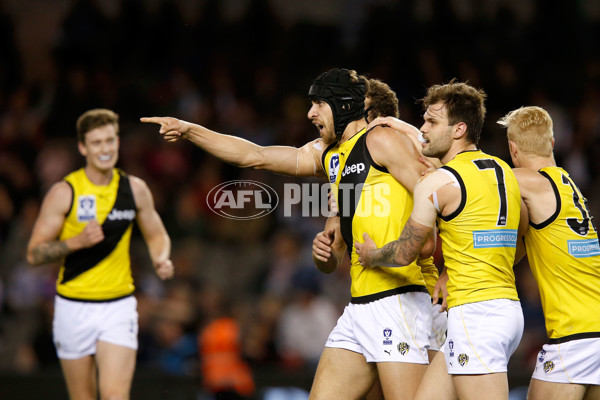 VFL 2017 Grand Final - Port Melbourne v Richmond - 553491
