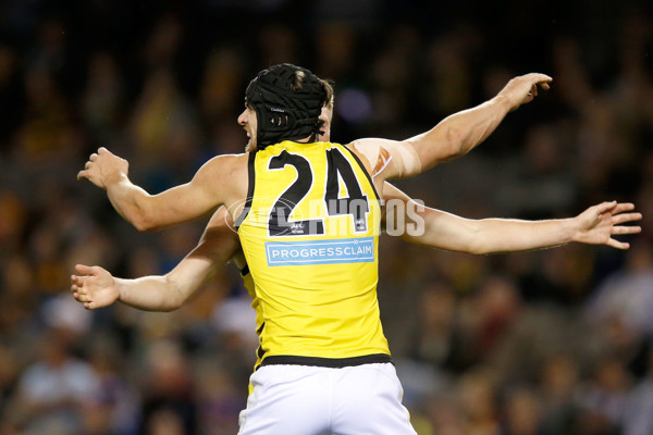 VFL 2017 Grand Final - Port Melbourne v Richmond - 553489