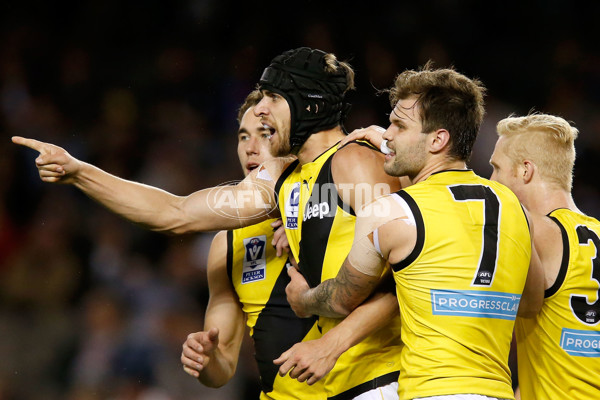 VFL 2017 Grand Final - Port Melbourne v Richmond - 553515