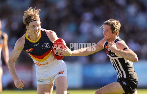 SANFL 2018 Round 01 - Port Adelaide v Adelaide - 578586