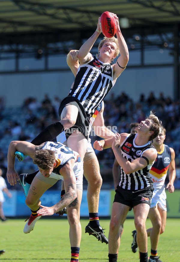 SANFL 2018 Round 01 - Port Adelaide v Adelaide - 579090
