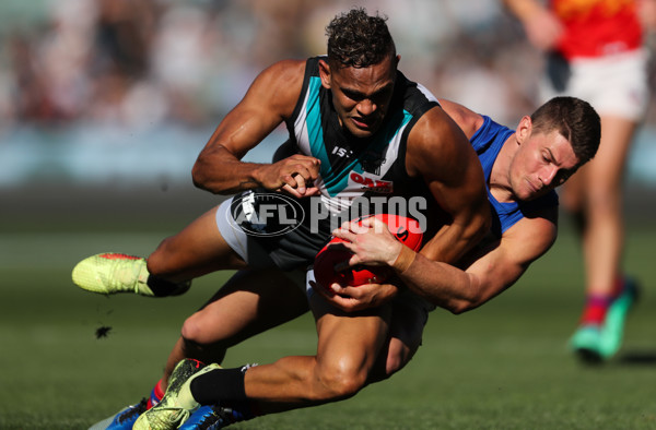 AFL 2018 Round 03 - Port Adelaide v Brisbane - 580754