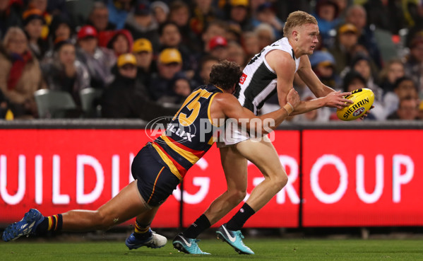 AFL 2018 Round 04 - Adelaide v Collingwood - 582417