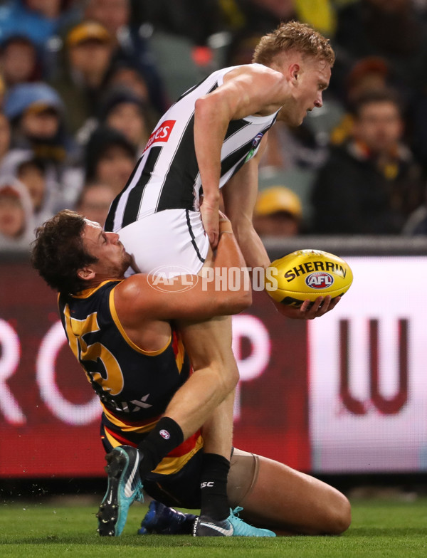 AFL 2018 Round 04 - Adelaide v Collingwood - 582419