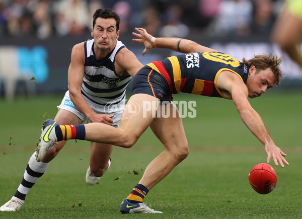 AFL 2023 Round 08 - Geelong v Adelaide - A-31436209