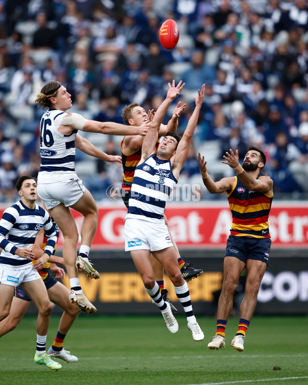 AFL 2023 Round 08 - Geelong v Adelaide - A-31445921