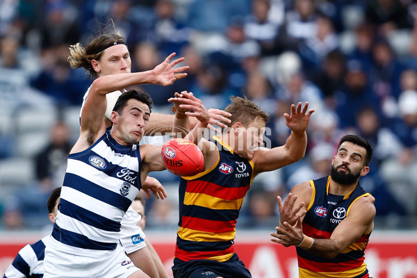 AFL 2023 Round 08 - Geelong v Adelaide - A-31445925