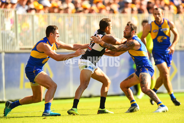 AFL 2018 Round 07 - West Coast v Port Adelaide - 588855
