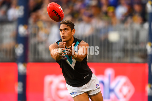 AFL 2018 Round 07 - West Coast v Port Adelaide - 589050