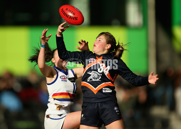 TAC Girls Cup 2018 Round 06 - Calder Cannons v Eastern Ranges - 591209