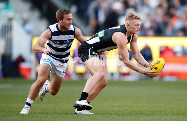 AFL 2018 Round 08 - Collingwood v Geelong - 592264