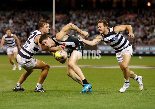 AFL 2018 Round 08 - Collingwood v Geelong - 592296