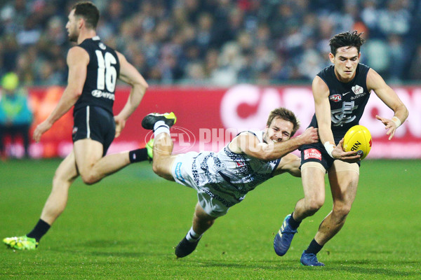 AFL 2018 Round 10 - Geelong v Carlton - 595527