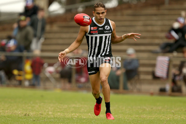 SANFL 2018 Round 10 - Bulldogs v Port Adelaide - 599391