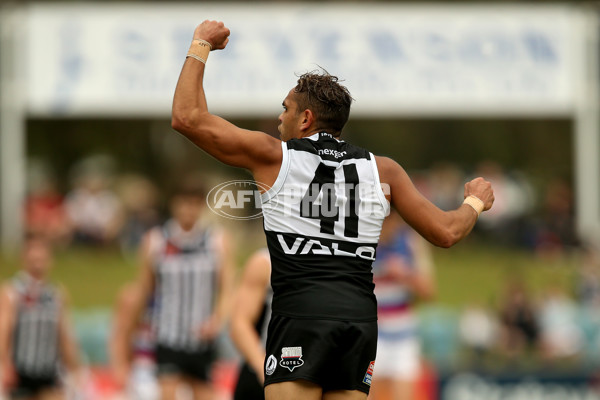 SANFL 2018 Round 10 - Bulldogs v Port Adelaide - 599397